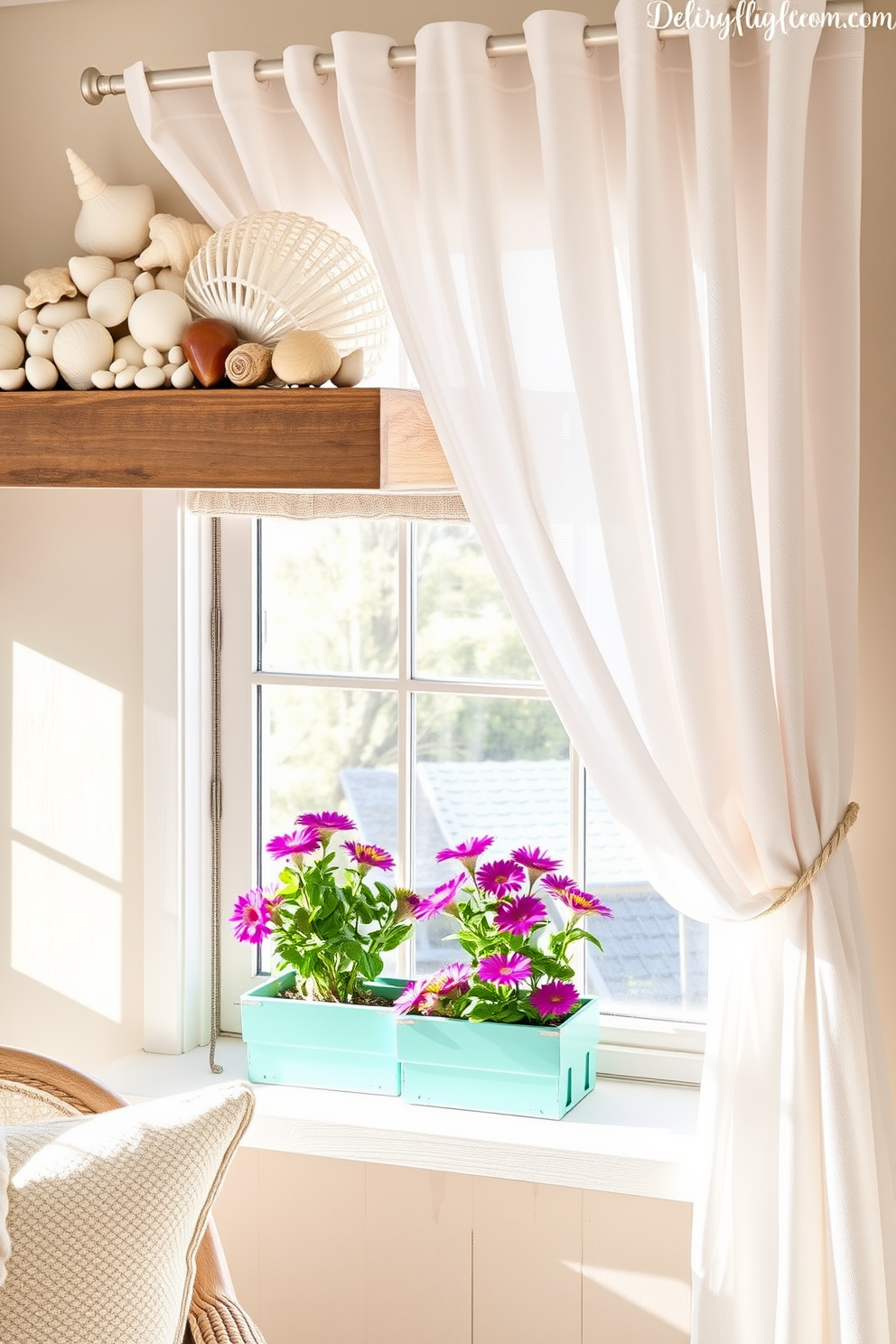 A serene beach-themed decor featuring an array of seashells arranged artfully on a rustic wooden shelf. Soft sand-colored accents are woven throughout the space, creating a tranquil coastal atmosphere. For summer window decorating ideas, sheer white curtains flutter gently in the breeze, allowing natural light to fill the room. Brightly colored flower boxes filled with vibrant blooms sit on the windowsill, adding a cheerful touch to the summer ambiance.